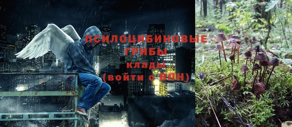 первитин Саяногорск