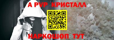 спиды Бердск