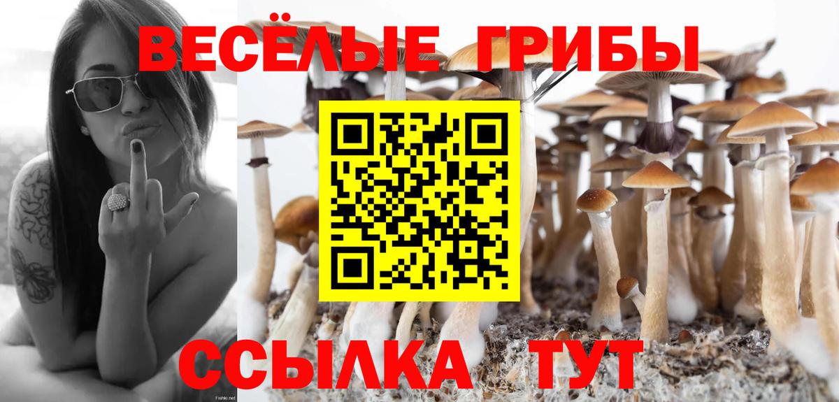Галлюциногенные грибы прущие грибы  Вход с VPN  Кинешма  Галлюциногенные грибы ЛСД 